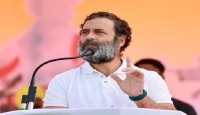একমাত্র কংগ্রেসই পারে সংবিধান রক্ষা করতে: রাহুল গান্ধী