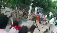 গুজরাট বিধানসভা নির্বাচনে বিজেপিকে বয়কটের ঘোষণা, সরকারি দফতরে গরুর পালের হানা