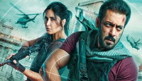 ৩০০ কোটির ক্লাবে ‘টাইগার ৩’
