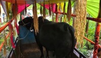 কালো মানিক’ উপহার হিসেবে গ্রহণ নয়, খালেদা জিয়ার চাওয়া শুধু দোয়া