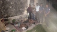 হাকিমপুরে প্রথম ডিজিটাল জনশুমারি ও গৃহগণনা কার্যক্রম শুরু