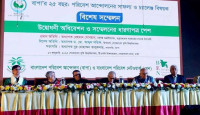 অতি মুনাফা ও বাজার অর্থনীতি পরিবেশ ধ্বংসের মূল কারণ : অধ্যাপক রেহমান সোবহান  
