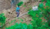 হিমাচলে কুকুরের কান্নায় বেঁচে গেল ৬৭ জন! ভূমিধসের আগাম সংকেত দিল প্রভুভক্ত প্রাণী