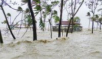 ঘূর্ণিঝড় রেমাল: ভেসে গেল ২ হাজার গবাদিপশু ও নষ্ট হয়েছে ৮ হাজার হেক্টর জমির ফসল