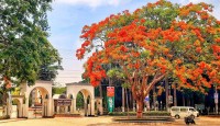 ইবিতে শিক্ষার্থী নির্যাতন প্রথম নয়, ভয়ে মুখ খোলে না কেউ